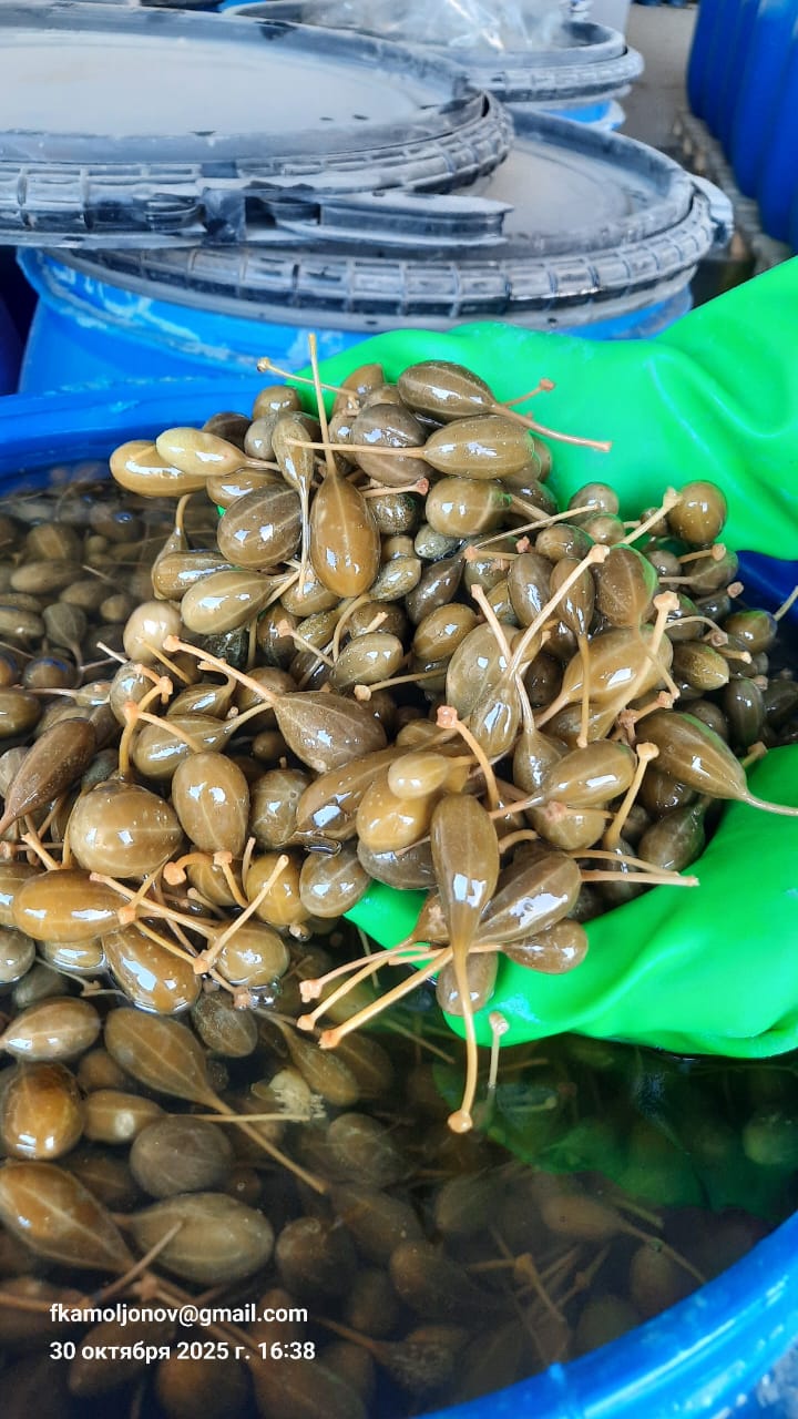 Capers