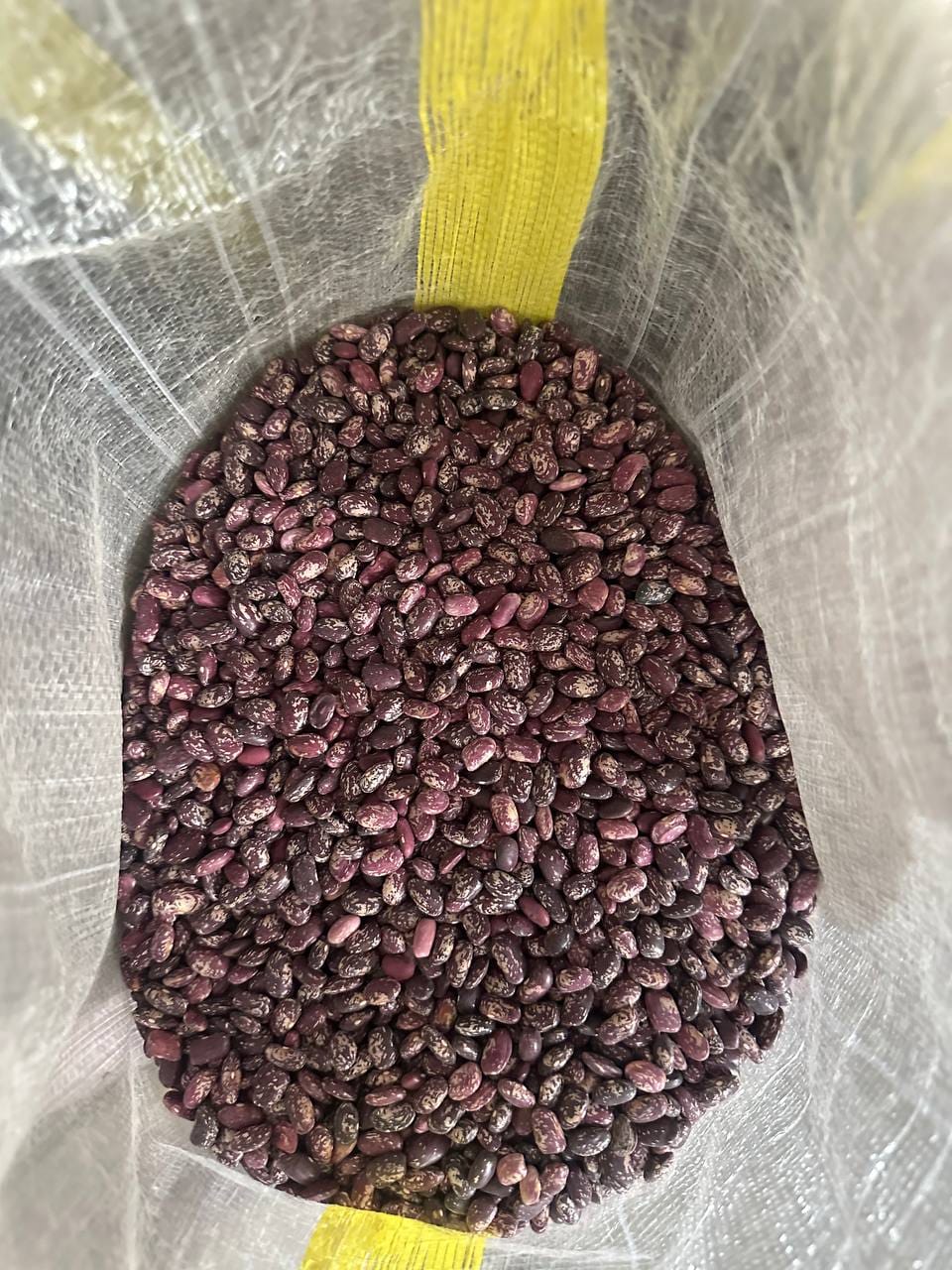 Red Kidney Beans