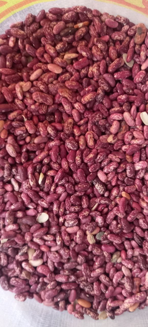 Red Kidney Beans